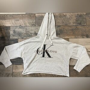 Calvin Klein Heather Gray Cropped Hoodie